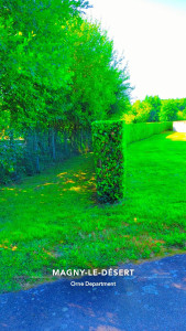 Photo de galerie - Taille de haies et d'arbustes