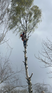 Photo de galerie - Démontage d’un boulot
