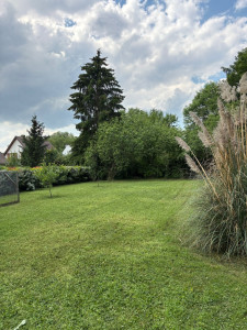 Photo de galerie - Tonte de pelouse - Débroussaillage