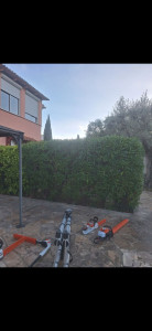 Photo de galerie - Taille de haies et d'arbustes