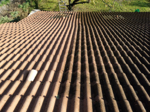 Photo de galerie - Bricolage et multi services