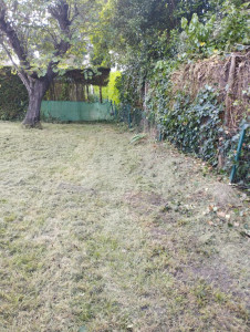 Photo de galerie - Après 