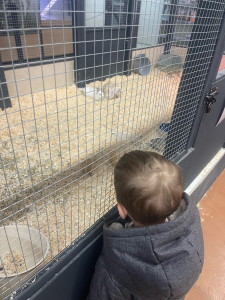 Photo de galerie - Garde d’enfant 