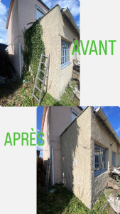 Photo de galerie - Arrachage d’un lierre 