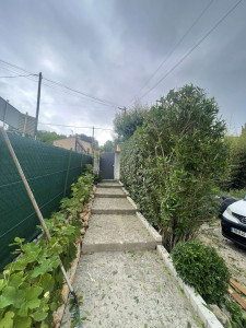 Photo de galerie - Taille vigne après