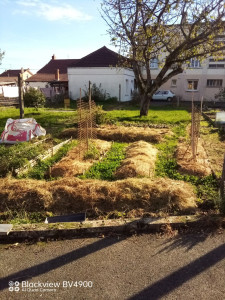 Photo de galerie - Jardin sur butte, réduction des arrosages