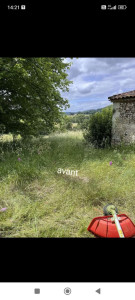 Photo de galerie - Tonte de pelouse - Débroussaillage