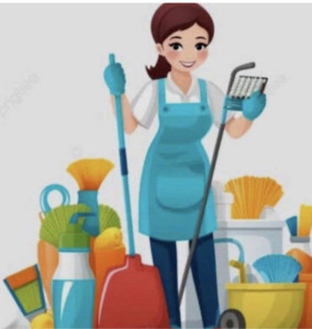 Photo de galerie - Ménage repassage aide à domicile