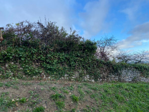 Photo de galerie - Taille de haies et d'arbustes