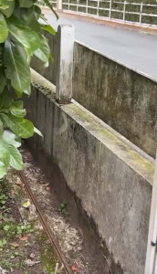 Photo de galerie - Rénovation 