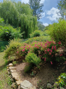 Photo de galerie - Mon jardin mon passe-temps une passion
