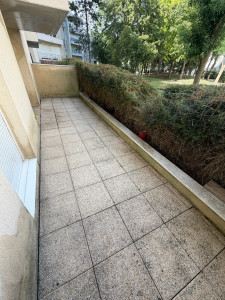 Photo de galerie - Après taille de haie et nettoyage terrasse