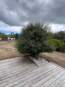 Photo de galerie - Jardinier
