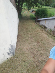 Photo de galerie - Débroussaillage et entretien de jardin 