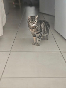 Photo de galerie - Revoici Bulma qui a légèrement grandi. Elle aime tjrs autant se cacher. dommage qu'on ne puisse pas mettre de vidéos