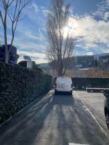 Photo de galerie - Taille régulier d’une haie 