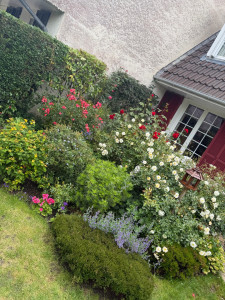 Photo de galerie - Jardinier