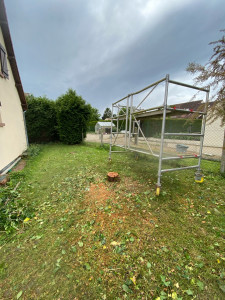 Photo de galerie - Coupe d’un arbre - APRÈS
