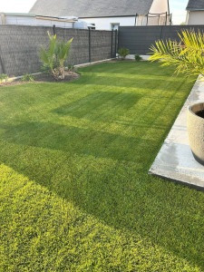 Photo de galerie - Gazon rafraîchit ?