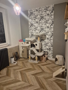 Photo de galerie - Garde chat