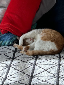 Photo de galerie - Un peu de gym 