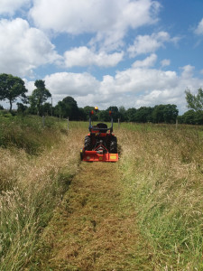 Photo de galerie - Tonte de pelouse - Débroussaillage