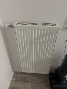 Photo de galerie - Radiateur fini