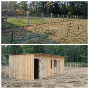 Photo de galerie - Box pour 3 chevaux. 9m de long par 3m de profondeur 