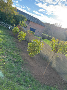 Photo de galerie - Paysagiste - Aménagement du jardin