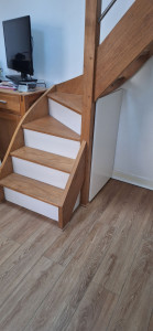 Photo de galerie - Création de contre marches, rangement sous escalier + porte