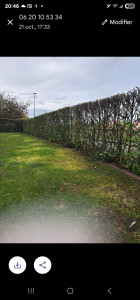 Photo de galerie - Haie de 37 mètres 