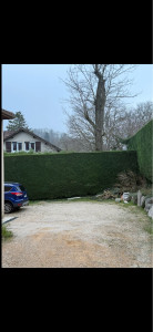Photo de galerie - Taille de haies et d'arbustes