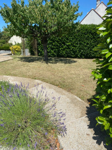 Photo de galerie - Tonte de pelouse - Débroussaillage