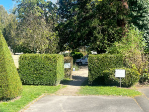 Photo de galerie - Taille de haie d’une résidence 