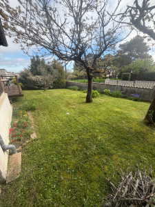 Photo de galerie - Tonte de pelouse - Débroussaillage