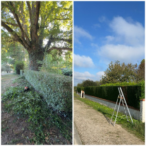 Photo de galerie - Paysagiste - Aménagement du jardin