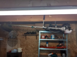 Photo de galerie - Débroussailleuse