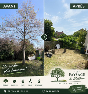 Photo de galerie - Démontage d’arbre / Retrait haie 