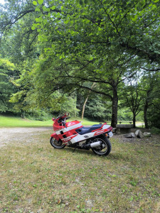 Photo de galerie - Moto 