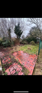 Photo de galerie - Tonte de pelouse - Débroussaillage