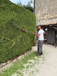 Photo de galerie - Taille de haies et d'arbustes