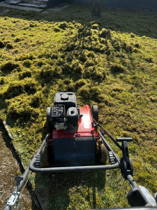 Photo de galerie - Tonte de pelouse - Débroussaillage