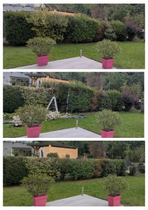 Photo de galerie - Rabattage d'une haie variée. 