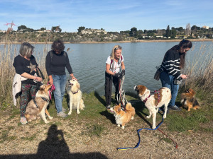 Photo de galerie - Balade collective 