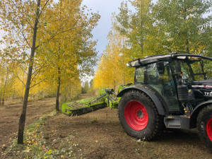 Photo de galerie - Tonte de pelouse - Débroussaillage