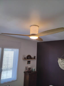 Photo de galerie - Ventilateur plafond 