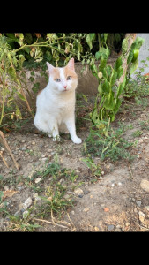 Photo de galerie - Visite à Pippin et arrosage de son jardin 