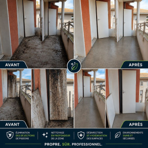 Photo de galerie - Avant / après : nettoyage en profondeur d’une zone extérieure fortement souillée par des déjections de pigeons, avec élimination des salissures, désinfection et hygiénisation des surfaces pour retrouver un espace propre et sain.