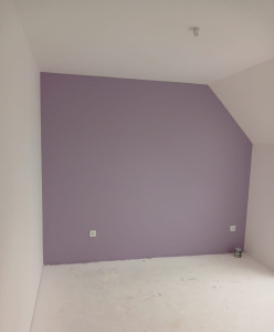 Photo de galerie - Peinture  mur
