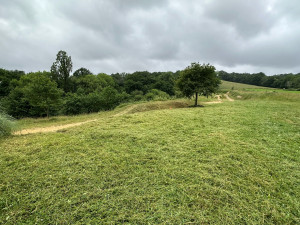 Photo de galerie - Après débroussaillage circuit Osserain
